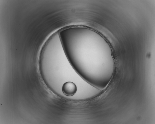X0000097951076200803241013