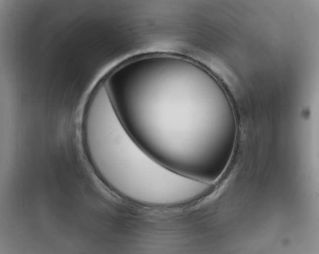 X0000097951077200803241013