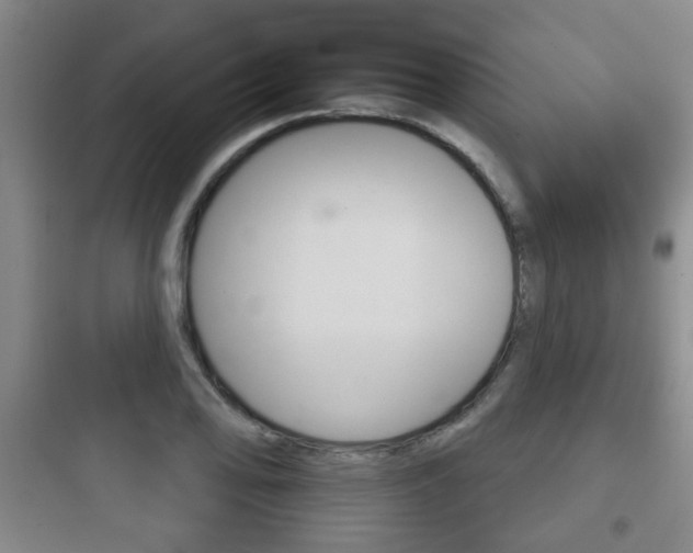 X0000097951078200803241013
