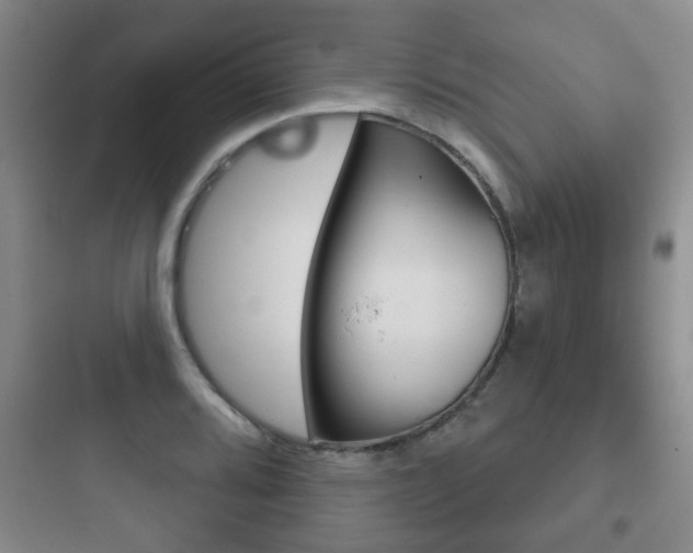 X0000097951080200803241013