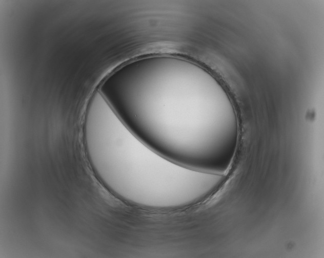 X0000097951081200803241013