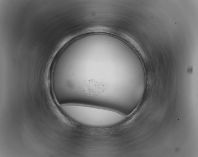 X0000097951082200803241013
