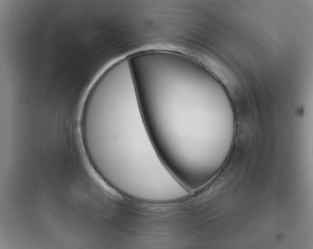 X0000097951084200803241013