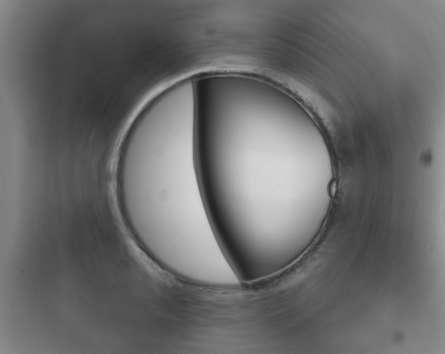 X0000097951085200803241013