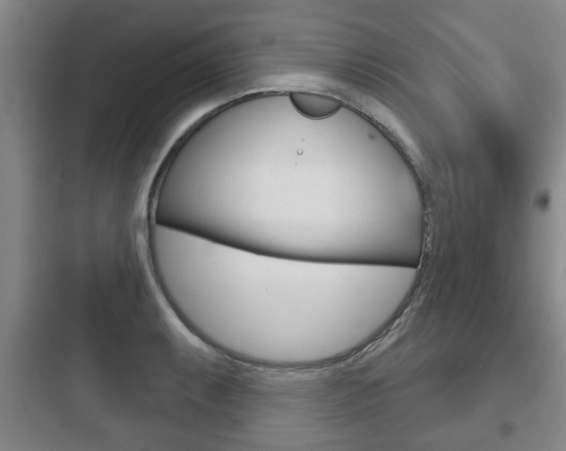 X0000097951087200803241013
