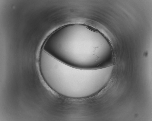 X0000097951088200803241013