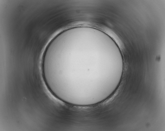 X0000097951090200803241013