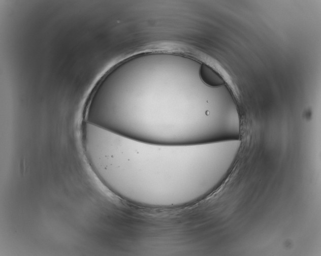 X0000097951091200803241013