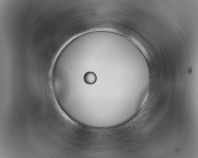 X0000097951092200803241013