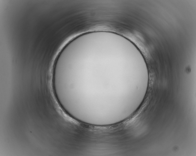 X0000097951094200803241013