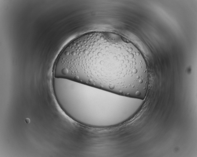 X0000097951095200803241013