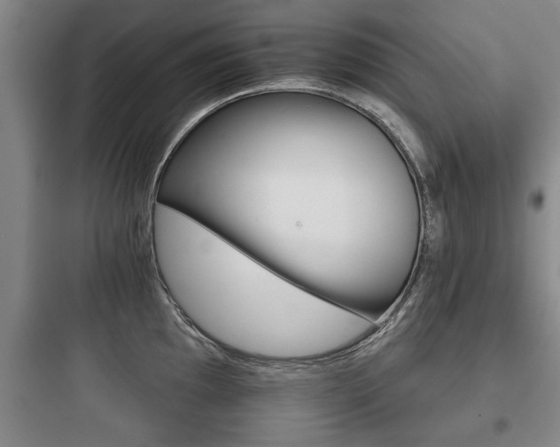 X0000097951097200803241013