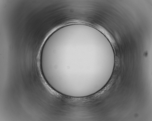 X0000097951098200803241013