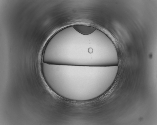 X0000097951099200803241013