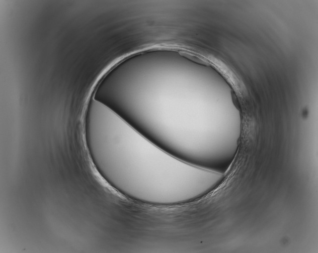 X0000097951100200803241013