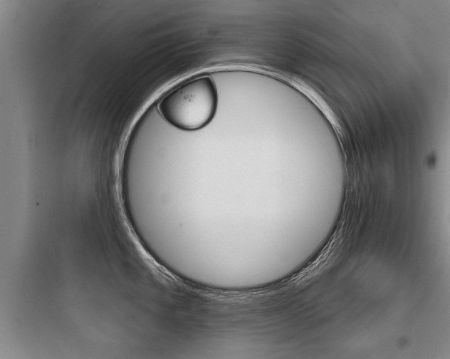 X0000097951101200803241013