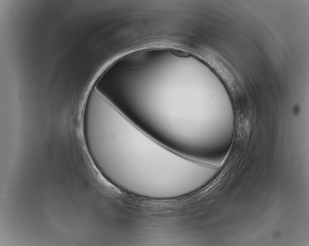 X0000097951102200803241013