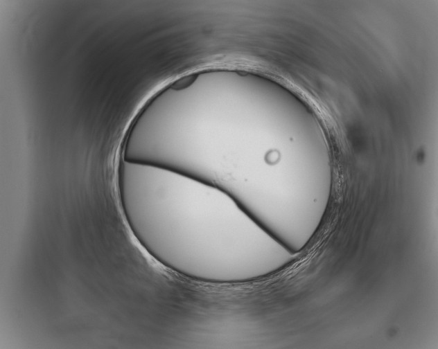 X0000097951103200803241013