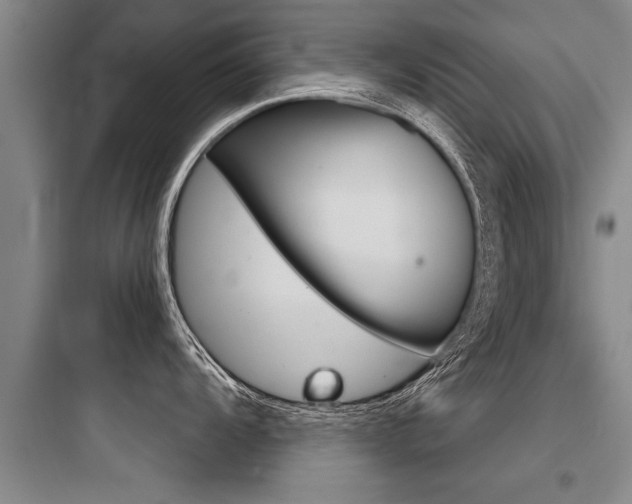 X0000097951104200803241013