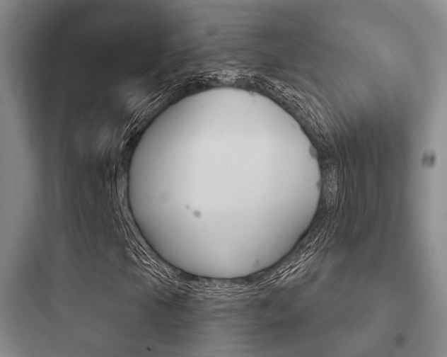 X0000097951105200803241012