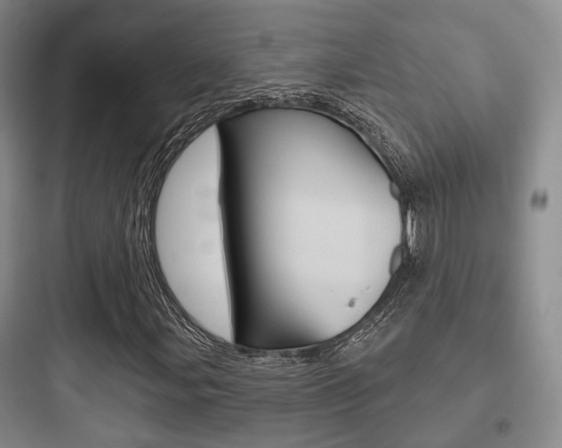 X0000097951107200803241012