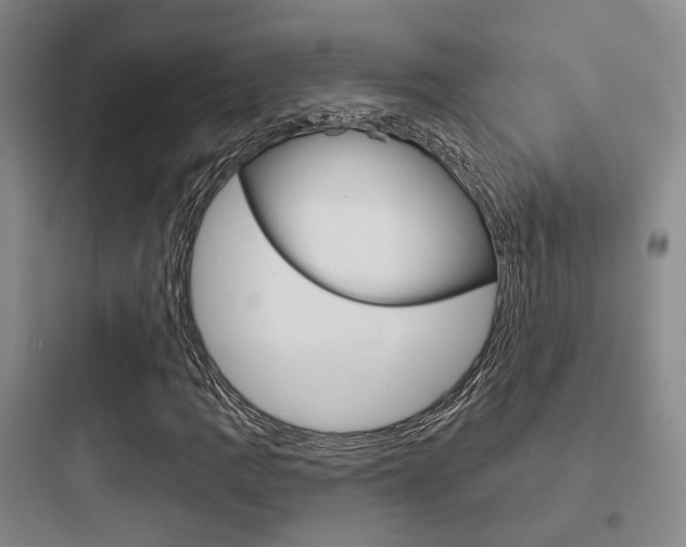 X0000097951109200803241012