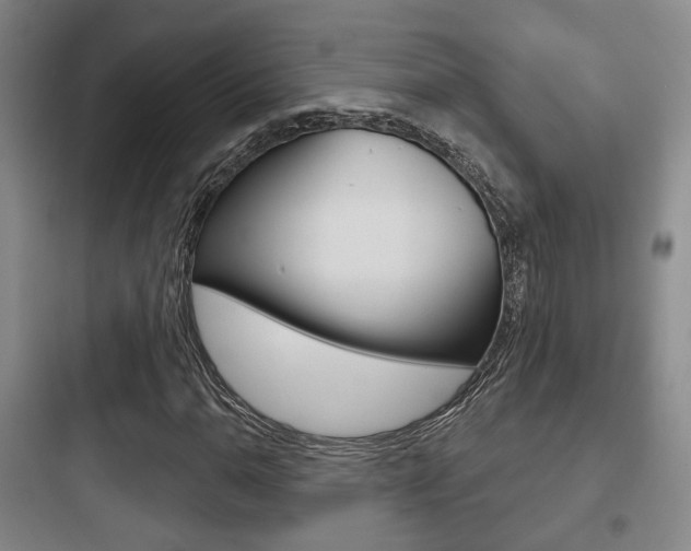 X0000097951110200803241012