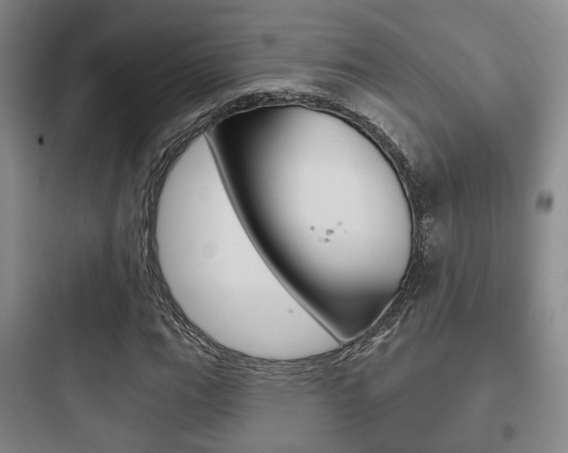 X0000097951111200803241012