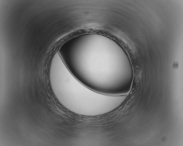 X0000097951112200803241012