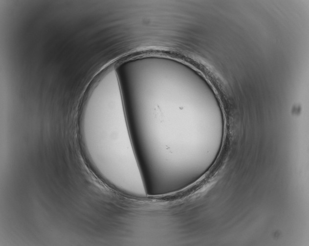 X0000097951113200803241012