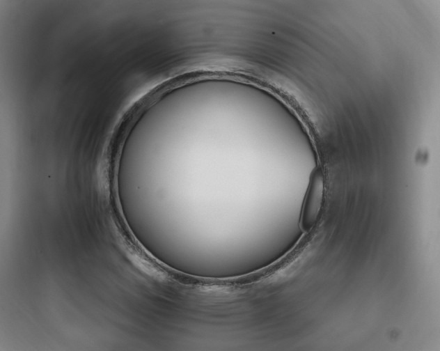 X0000097951114200803241012