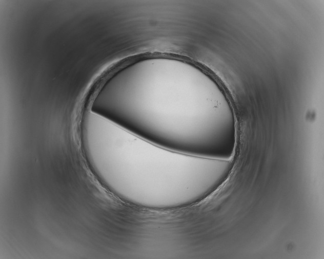 X0000097951115200803241012