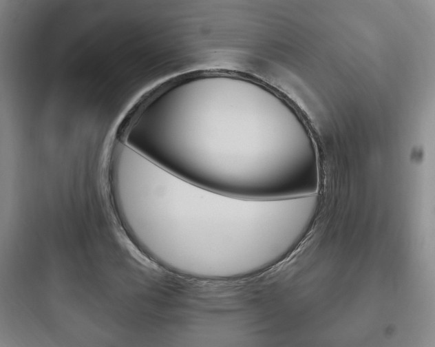 X0000097951116200803241012