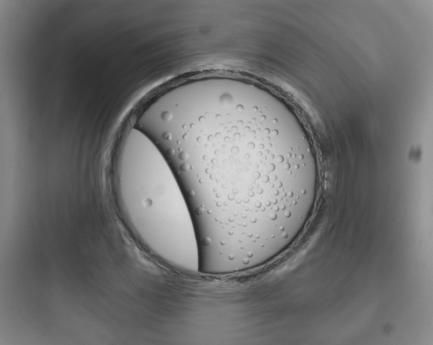 X0000097951117200803241012