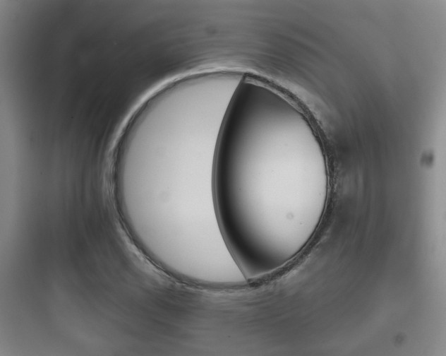 X0000097951118200803241012