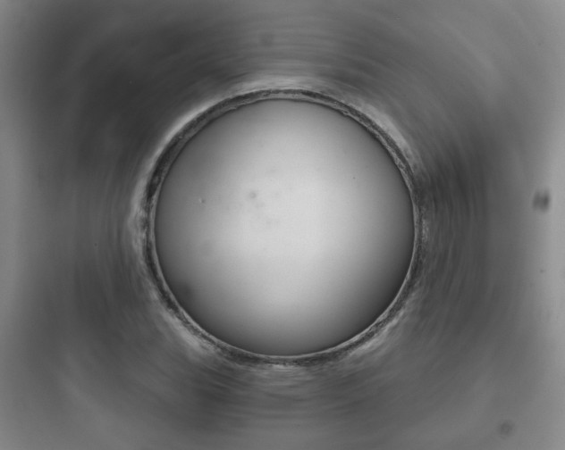 X0000097951119200803241012