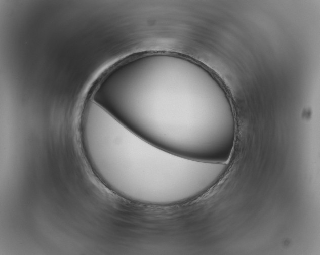 X0000097951120200803241012