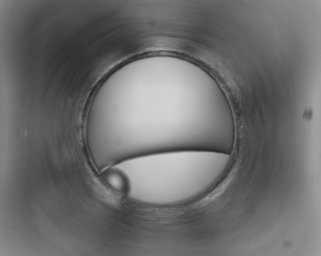 X0000097951121200803241012