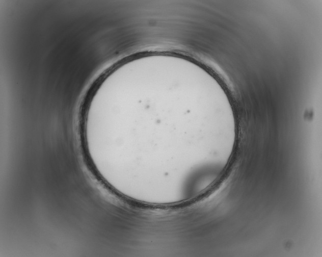 X0000097951122200803241012