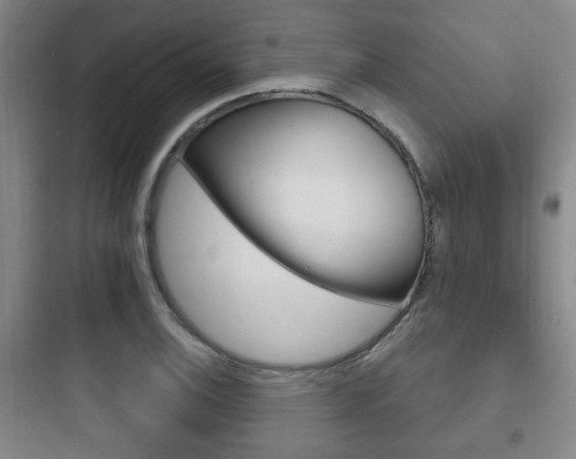 X0000097951124200803241012