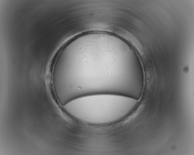 X0000097951125200803241012