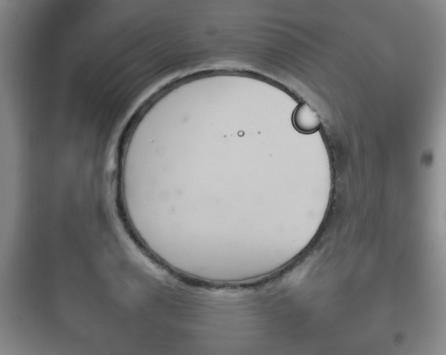 X0000097951126200803241012