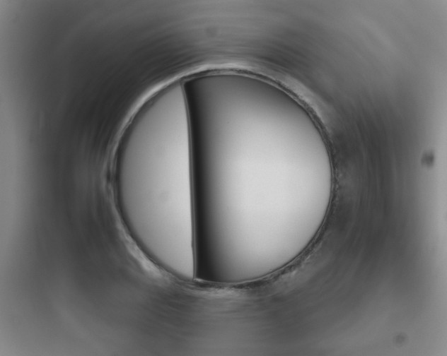 X0000097951127200803241012