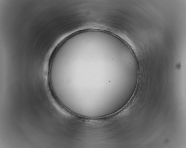 X0000097951128200803241012