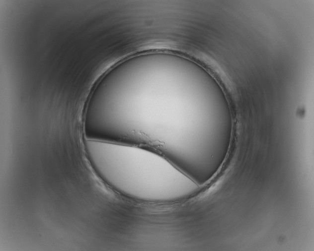 X0000097951129200803241013