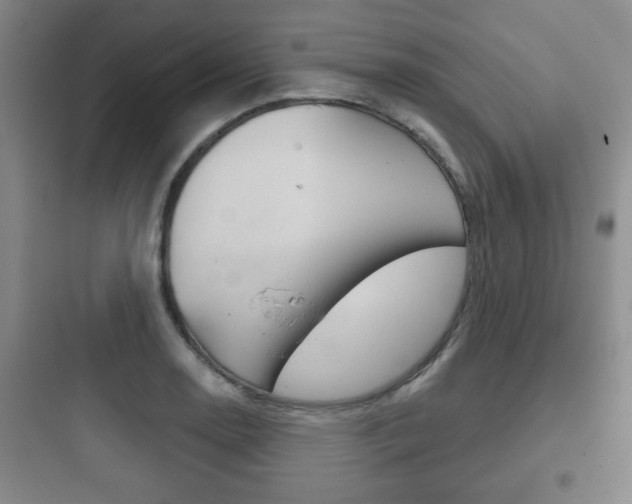 X0000097951130200803241013