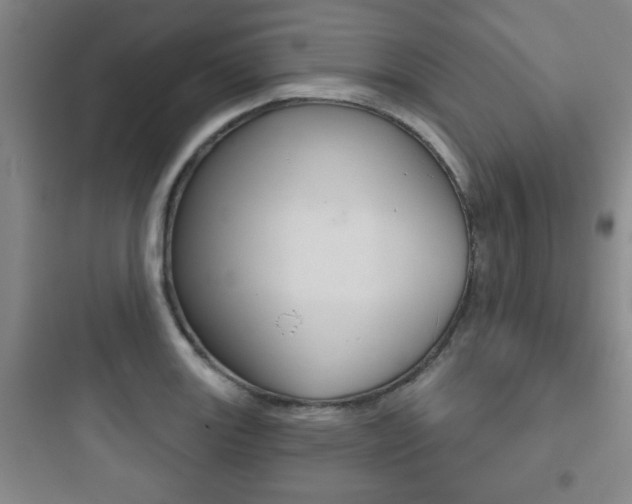 X0000097951131200803241013