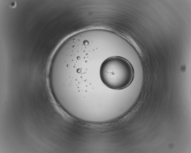 X0000097951132200803241013