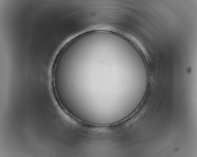 X0000097951133200803241013