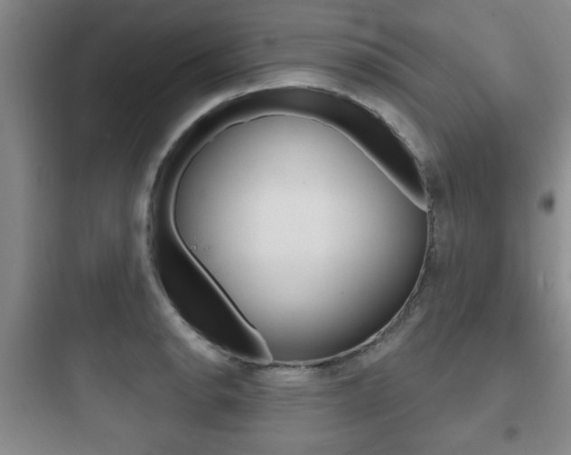 X0000097951134200803241013